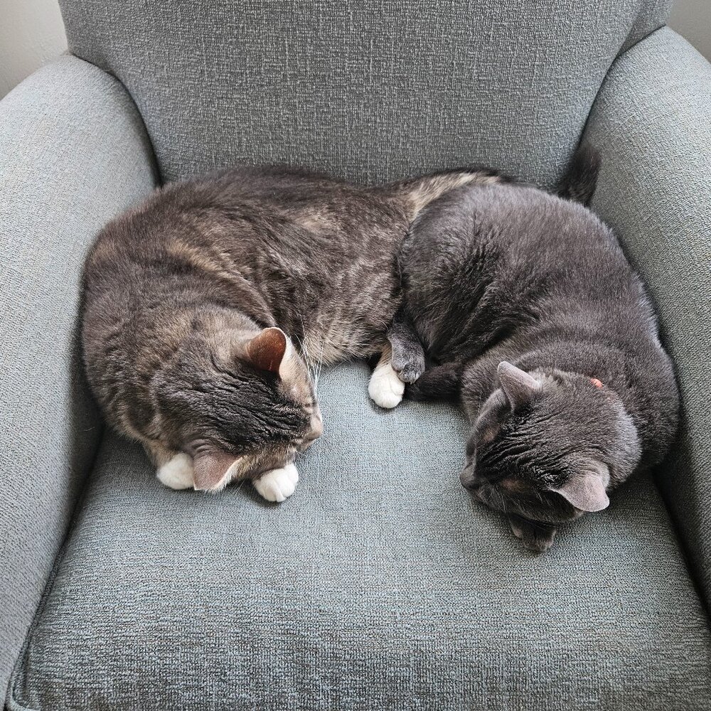 Meet your Posher, Esther